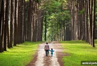 Kids Prefer Nature Less Than Adults; Preferences Shift With Age
