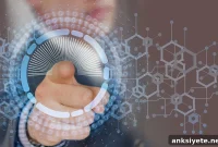 How We Sense Vibrations Through Touch