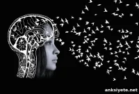 Relatives Show Distinct Brain Changes in Schizophrenia/Bipolar