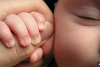 Early Postnatal Overnutrition Linked to Faster Aging