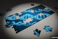Scientists Find Second Short-Sleep Gene After 10-Year Search