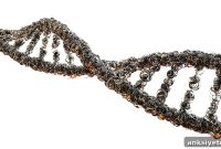 Altered Gene Expression Linked to Psychopathy