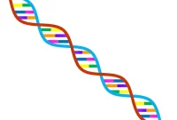 Genes Explain Up to 25 Percent of Same-Sex Behavior, Study Finds