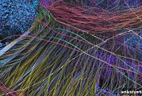 How Blue Brain Mapped Billions of Synapses in Mouse Neocortex