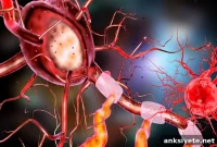 How New Brain Cell Growth Influences Alzheimer’s Disease