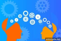 Study Finds No Link Between Testosterone and Cognitive Empathy