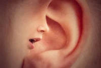 Single-Sided Hearing Loss Impairs Speech Recognition