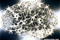 Astrocytes Shape How the Brain Processes Information