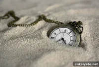 How Stress Disrupts Your Circadian Clock