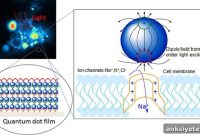 Quantum Dots for Targeted Neural Activation