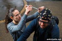 How Background Noise Alters Brain Activity and Focus