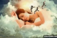 New Brain Circuit Identified That Forms Memories During Sleep