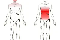 Where Does Parkinson’s Start: Brain, Gut, or Both?