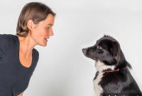 Study: Humans Learn to Read Dogs’ Facial Expressions, Not Innate