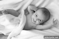 Newborn Cholesterol and Lipids Predict Child Mental Health at Age 5