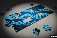 Scientists Discover Gene That Increases Alzheimer’s Risk