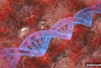 Autism-linked Mutations Found in Alzheimer’s Brains