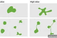 Irregular Park Shapes Linked to Lower Mortality