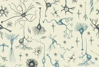 Your Brain and Humanity: Count the Neurons That Define Us