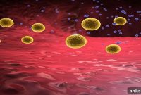 Fat-Dissolving Bile Acids Could Reduce Gut Inflammation