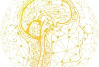 Brain Model Reveals How Stroke and Other Injuries Harm the Brain