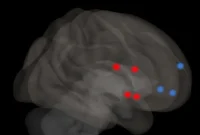 How ADHD Medication Changes the Brain’s Reward System