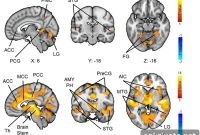 How Horror Movies Rewire Your Brain to Heighten Fear