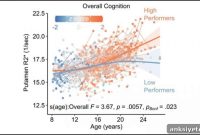How Iron Supports Cognitive Development