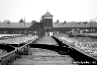 How the Third Reich’s Legacy Drives Xenophobia and Intolerance