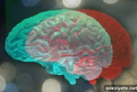 How CBD Affects the Brain in Psychosis