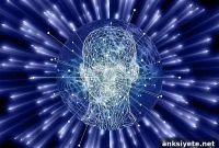 Brain Activity Patterns Reveal How the Mind Works