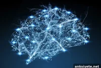 How Neuronal Circuits Drive Behavior, Learning and Dysfunction
