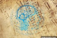 How Sheet Music Reveals Human Brain Activity