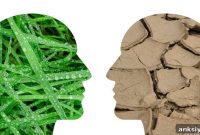 How Climate Change Affects the Brain and Mental Health