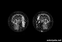 Why Our Brains Crave Revenge: The Neuroscience Explained