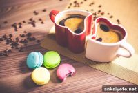 Why You Love or Hate Coffee: The Biology Explained