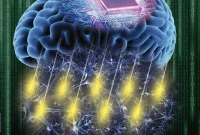 Brain-Reading Breakthrough Boosts Brainwave-Controlled Devices