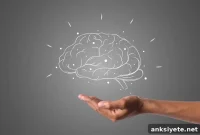 Brain Mapping Reveals Hand Motor Areas Link to Whole Body