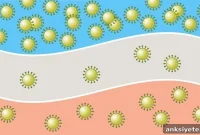 Spring COVID-19 Outlook Hinges on Indoor Air and Behavior