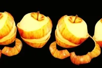 Fruit Peel Compound Stops Damage, Promotes Nerve Repair in MS