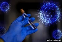 New Antiviral Breakthrough Offers First Hope Against COVID-19