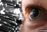 Why Natural Light Boosts Brain Function