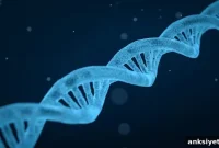 How Rare Inherited Mutations Combine to Reduce Lifespan