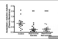 Structural Protein Could Be a Biomarker for Depression