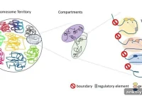 Genome Sequencing Reveals Structural Links to Schizophrenia