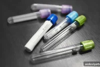 Slower COVID-19 Clearance Explains Why Men Fare Worse