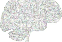 New Treatment Targets Found for Pediatric Brain Tumors