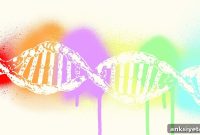 Child’s Autism Risk 3 to 5% If Parent’s Sibling Has Autism