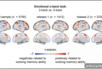 Children’s Brain Activity Predicts Memory Skills