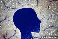 Brain scans show reduced neural suppression in autism